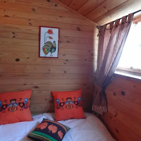 Holiday ,,dwa Koguty' Warmia I Mazury